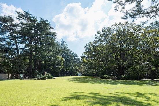 東京都庭園美術館　芝庭